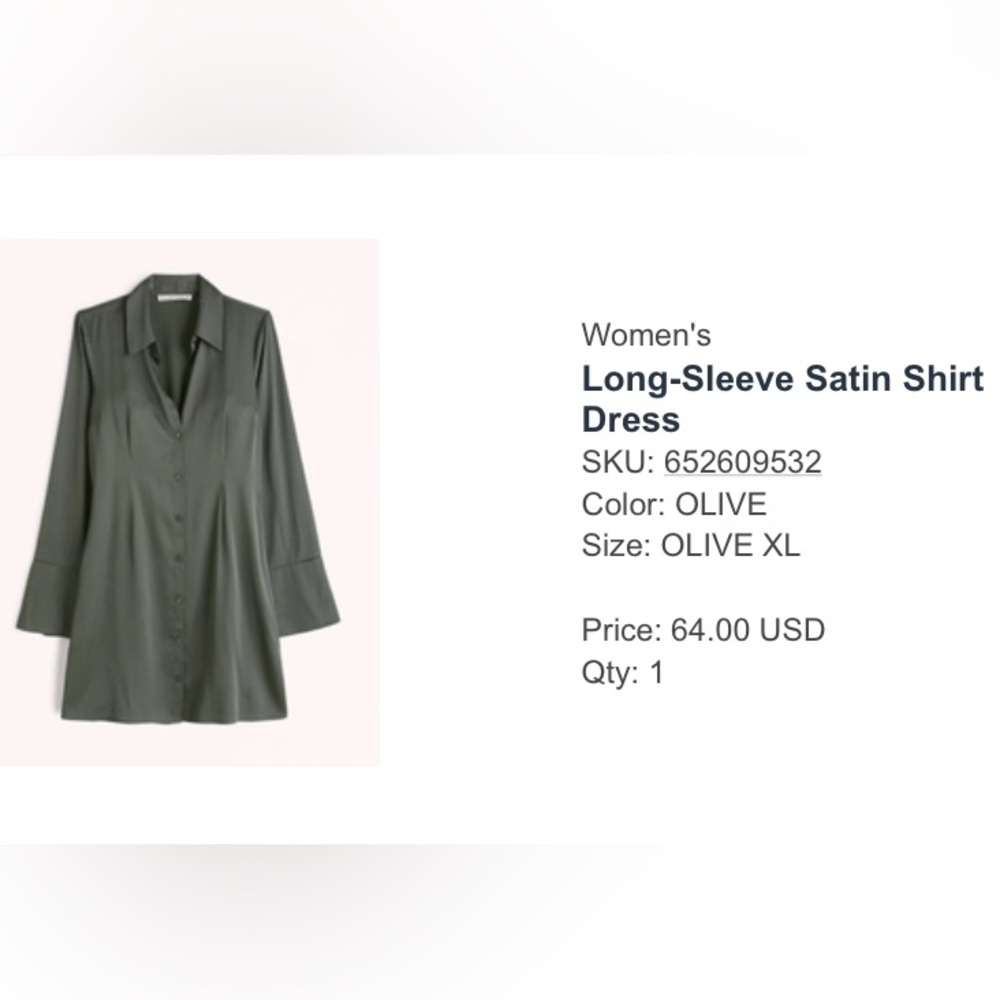Abercrombie & Fitch Olive Satin Shirt Dress